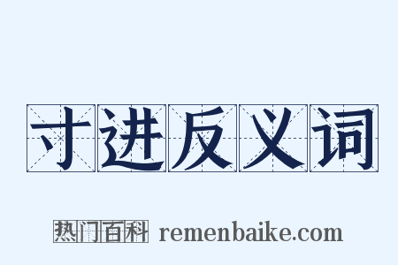 寸进反义词是什么意思的图片